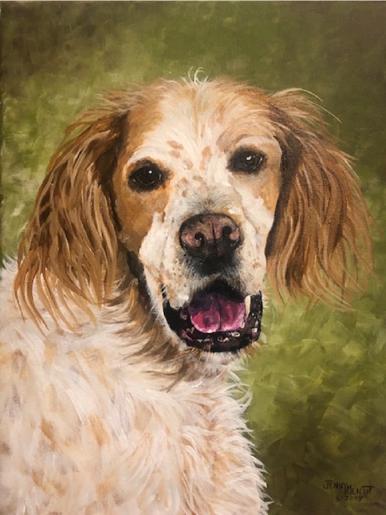 An orange and white setter facing forward with its mouth open, against a soft green background.
