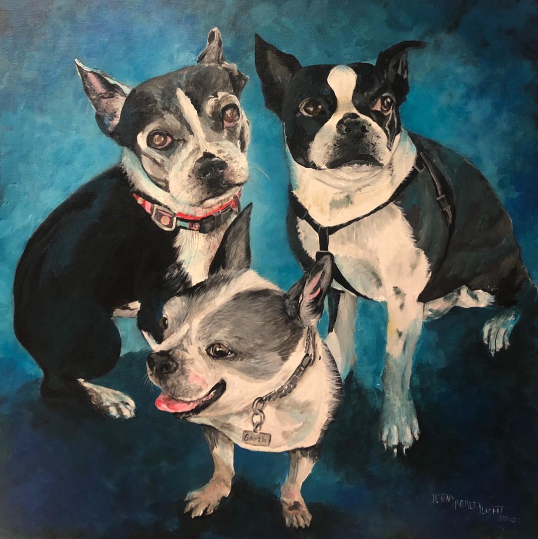 Three Boston terriers grouped together looking up at the viewer, painted on a deep blue ground.